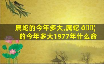 属蛇的今年多大,属蛇 🐦 的今年多大1977年什么命